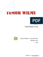 Belibis A17 Tumor Wilms