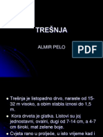 New Microsoft PowerPoint Presentation - PPT TREŠNJA