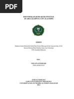 Download Poaceae by Mega Bohari SN139406057 doc pdf