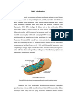 Biosel Dna Mitokondria Aq