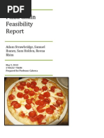 feasibility report