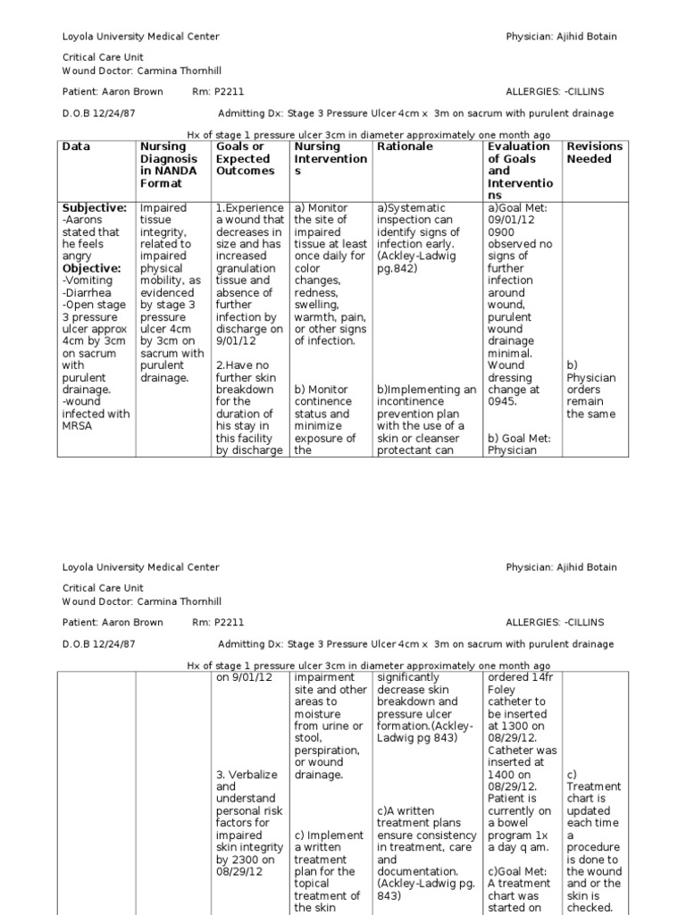 Skin Integrity Assessment and Care Plan | PDF | Wound | Health Sciences