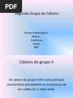 Segundo Grupo de Cátions