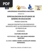 Ensayo Cultura Escolar