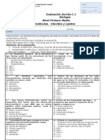 55670173-prueba-2-glucidos-y-lipidos-biologia-1Â°medio