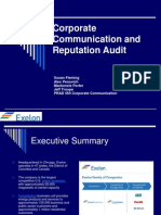 Corporate Communication and Reputation Audit