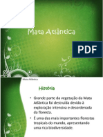 Mata Atlântica