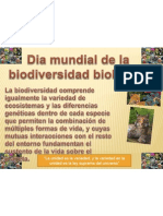 Mural Del Dia Mundial de La Biodiversidad Biologica