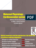 Cardiovascular System Prof DK