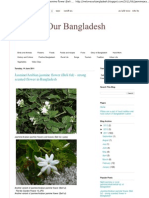 We Love Our Bangladesh - Jasmine - Arabian Jasmine Flower (Beli Ful) - Strong Scented Flower in Bangladesh