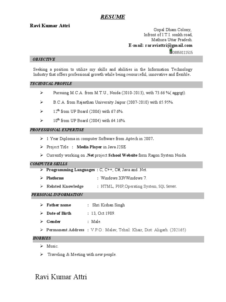 Ravi Kumar Attri's IT Resume | PDF | Career & Growth | Business