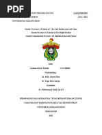 Download Bagian Ortopedi Dan Traumatologi by gustian_ballack SN139523885 doc pdf