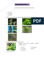 Soal Tes Spermatophyta