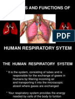Respiratorysystem 120105050542 Phpapp01
