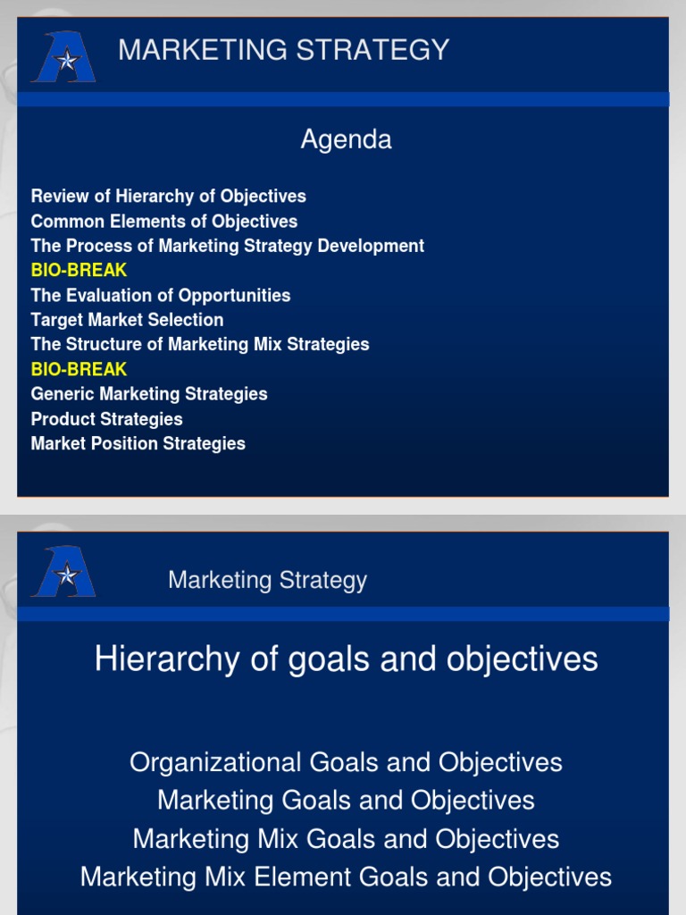 Comprehensive Marketing Strategy Guide | PDF