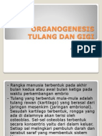 Organogenesis Tulang Dan Gigi