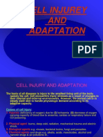 Cell Injury