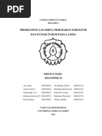 Download Laporan Tutorial Skenario 1 Geriatri by Wahyu Aprillia SN139563302 doc pdf