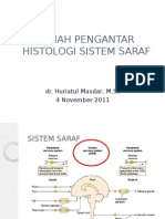 Histologi Saraf