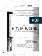 Overview of The Hitler Youth