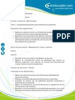 plan leccion _las_glandulas_sexuales.pdf