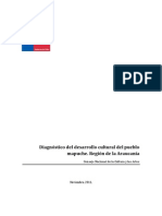 Estudio Diagnostico Del Desarrollo Cultural Del Pueblo Mapuche