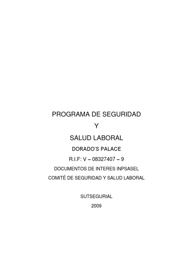 Programa de Seguridad y Salud Laboral | PDF | Seguridad y salud ...