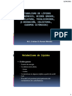 Met Lípidos Lopogenesis Lisis Cetonas 12