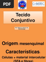 Revisão - Histologia