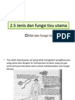 2.5 Jenis Dan Fungsi Tisu Utama