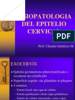 Fisiopatologia Epitelio Cervical