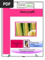 Download MAIZE Profile by panwarrca SN13963351 doc pdf