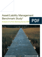 Asset Liability Benchmark Study 2006 PWC