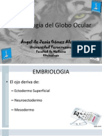 Embriología Del Globo Ocular