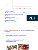 Transposones de procariotas.pdf