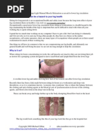 Download Seated Workstation Hazards by Michael Gillan SN13965562 doc pdf