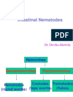 Nematodes 10 11