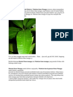 Download Khasiat Daun Mangga Untuk Diabetes by Nissa Khairunnisa SN139663717 doc pdf
