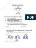 (Apakah Fungsi Sistem Organ Yang Ditunjukkan Di Atas?) : Diagram 15