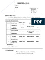 Curriculum Vitae Mr. Akash Maruti Badave: Work Experience