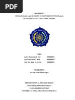 Download Case Hidronefrosis by MauLan Saputra SN139687869 doc pdf