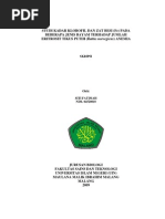 Download 04520010 Siti Fatimah by Meissha Ayu Ardini SN139696396 doc pdf