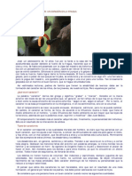 Formación Del Carácter PDF