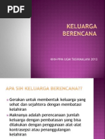 Download KELUARGA BERENCANA by Elsa Fitria Apriani SN139723543 doc pdf