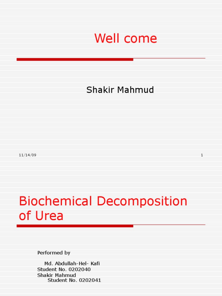 Stages of decomposition human image
