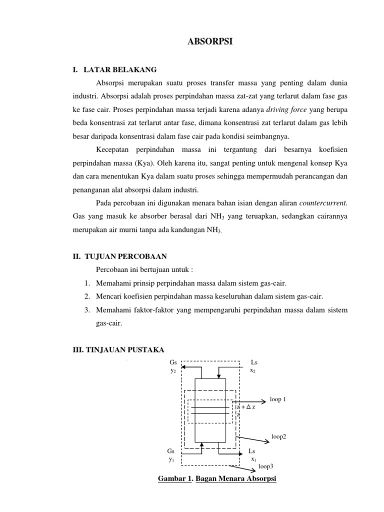 Teknik Absorpsi Gas-Cair | PDF | Metode & Bahan Ajar | Sains & Matematika