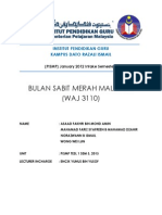 Bulan Sabit Merah Malaysia (WAJ 3110) : Institut Pendidikan Guru Kampus Dato Razali Ismail