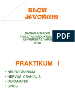 Blok Nervosum: Bagian Anatomi Fakultas Kedokteran Universitas Yarsi 2010