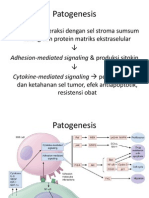 MM - Patogenesis