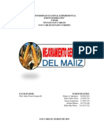 Mejoramiento Genético Del Maíz (Ensayo-Eddy Mar)